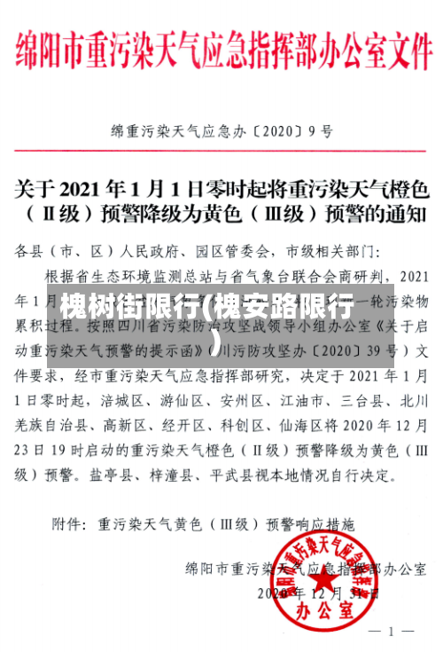槐树街限行(槐安路限行)