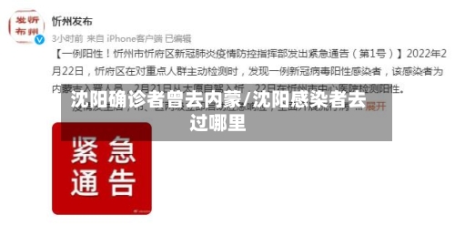 沈阳确诊者曾去内蒙/沈阳感染者去过哪里-第2张图片