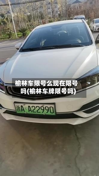 榆林车限号么现在限号吗(榆林车牌限号吗)-第2张图片