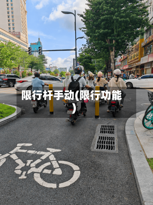 限行杆手动(限行功能)