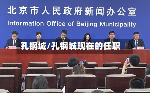 孔钢城/孔钢城现在的任职