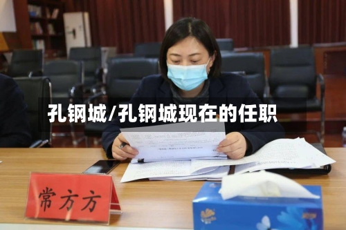 孔钢城/孔钢城现在的任职-第2张图片