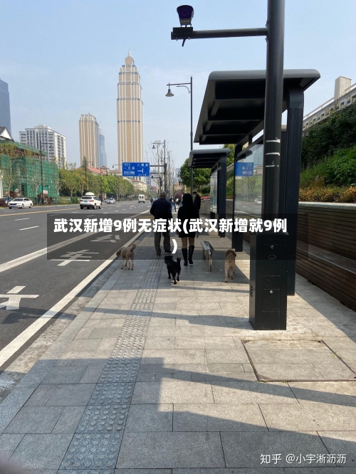 武汉新增9例无症状(武汉新增就9例)