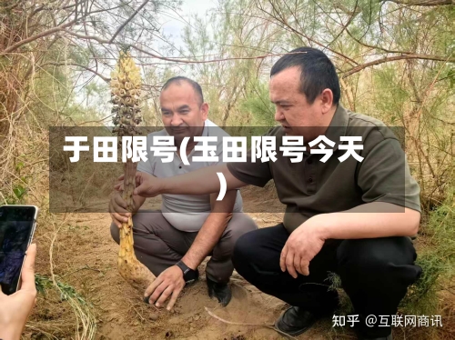 于田限号(玉田限号今天)