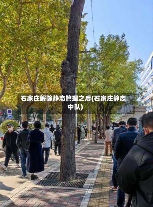 石家庄解除静态管理之后(石家庄静态中队)