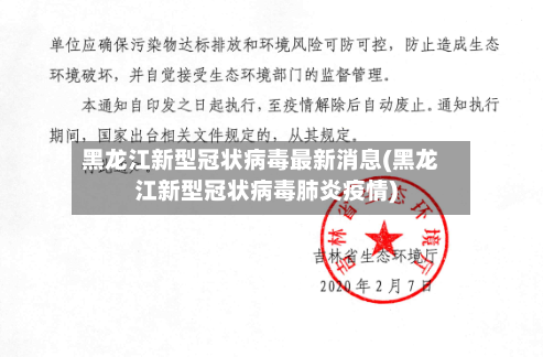 黑龙江新型冠状病毒最新消息(黑龙江新型冠状病毒肺炎疫情)-第3张图片