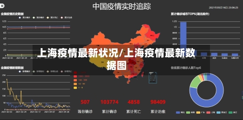 上海疫情最新状况/上海疫情最新数据图