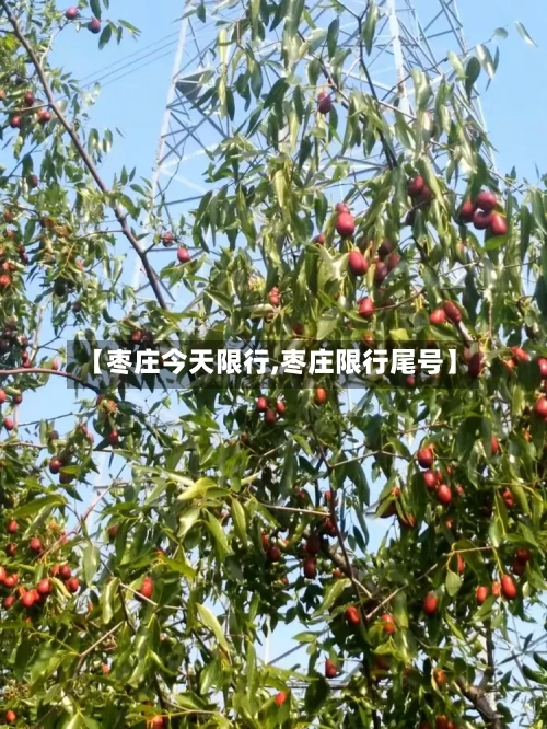 【枣庄今天限行,枣庄限行尾号】