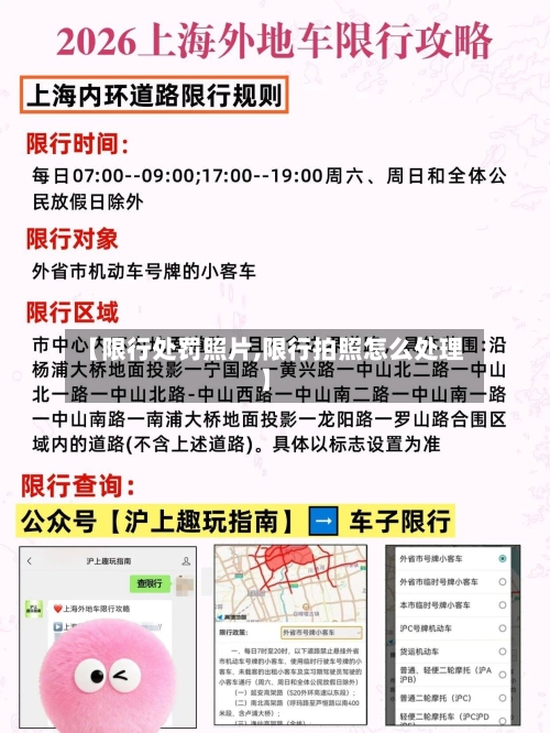 【限行处罚照片,限行拍照怎么处理】-第2张图片