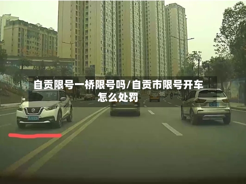 自贡限号一桥限号吗/自贡市限号开车怎么处罚-第2张图片