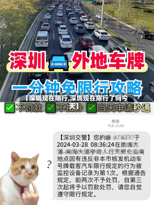 【深圳现在限行,深圳现在限行了吗今天】-第3张图片