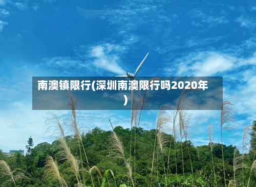南澳镇限行(深圳南澳限行吗2020年)-第2张图片