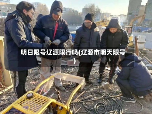 明日限号辽源限行吗(辽源市明天限号)