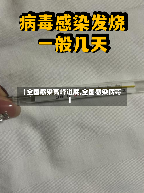 【全国感染高峰进度,全国感染病毒】-第2张图片