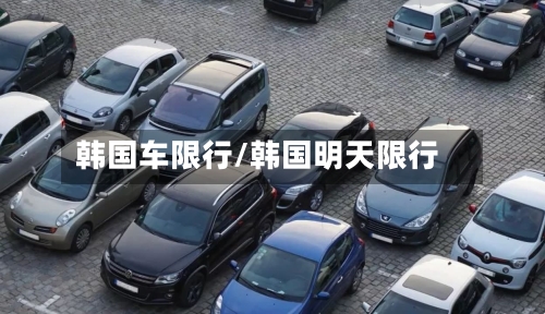 韩国车限行/韩国明天限行