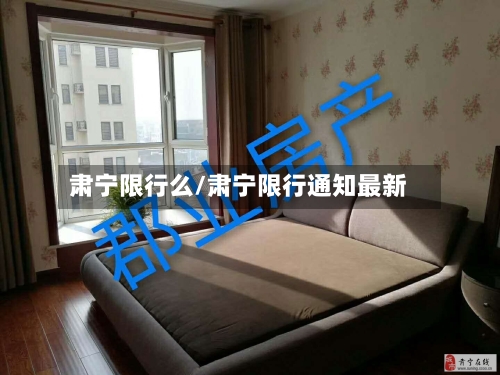 肃宁限行么/肃宁限行通知最新-第2张图片