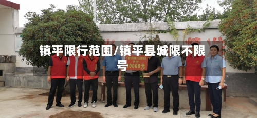 镇平限行范围/镇平县城限不限号-第2张图片