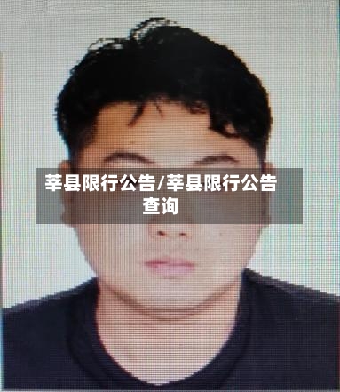 莘县限行公告/莘县限行公告查询-第2张图片