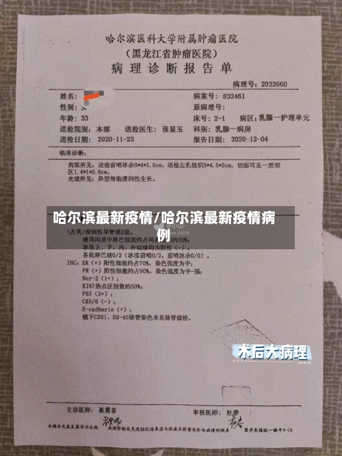 哈尔滨最新疫情/哈尔滨最新疫情病例
