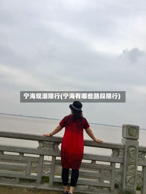 宁海观潮限行(宁海有哪些路段限行)-第2张图片