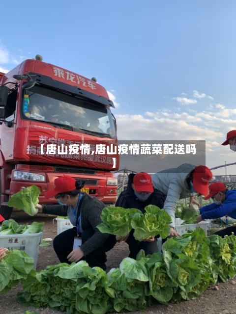 【唐山疫情,唐山疫情蔬菜配送吗】-第2张图片