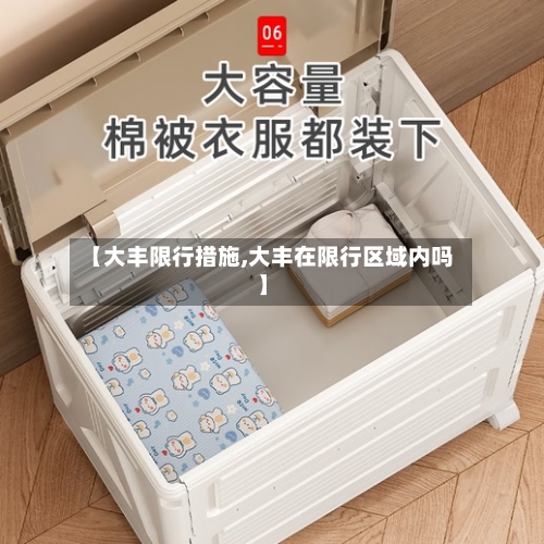 【大丰限行措施,大丰在限行区域内吗】