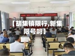 【胡集镇限行,新集限号吗】-第3张图片