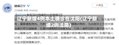 辽宁新增4例本土确诊在沈阳(辽宁新增2例沈阳)-第3张图片
