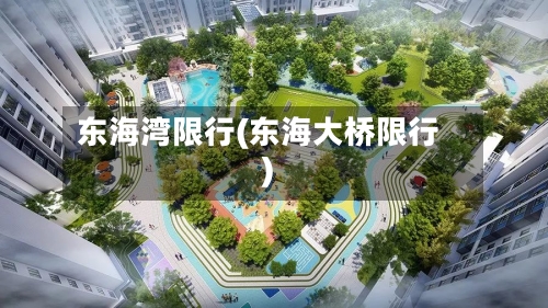 东海湾限行(东海大桥限行)