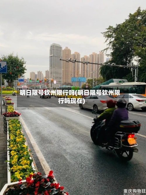 明日限号钦州限行吗(明日限号钦州限行吗现在)