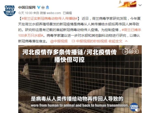 河北疫情存多条传播链/河北疫情传播快但可控-第3张图片