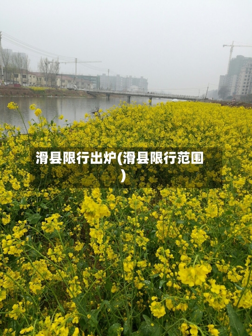 滑县限行出炉(滑县限行范围)