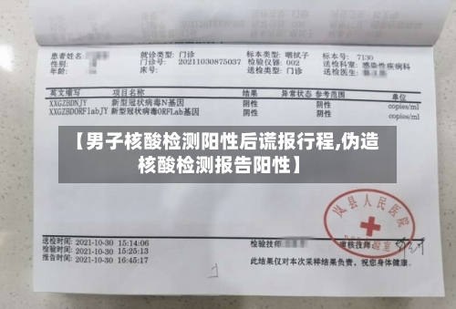 【男子核酸检测阳性后谎报行程,伪造核酸检测报告阳性】