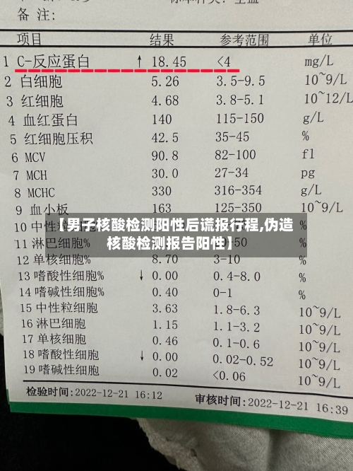 【男子核酸检测阳性后谎报行程,伪造核酸检测报告阳性】-第2张图片