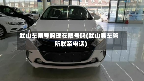 武山车限号吗现在限号吗(武山县车管所联系电话)
