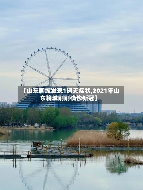 【山东聊城发现1例无症状,2021年山东聊城刚刚确诊新冠】-第3张图片