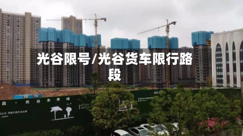 光谷限号/光谷货车限行路段