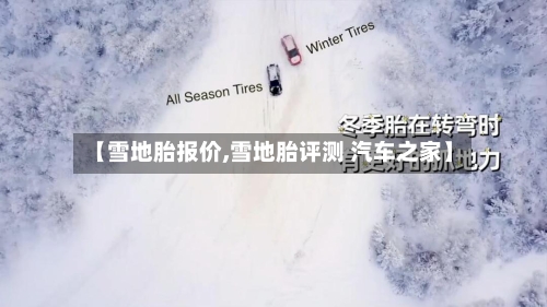 【雪地胎报价,雪地胎评测 汽车之家】-第2张图片