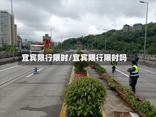 宜宾限行限时/宜宾限行限时吗-第3张图片