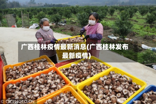 广西桂林疫情最新消息(广西桂林发布最新疫情)-第3张图片