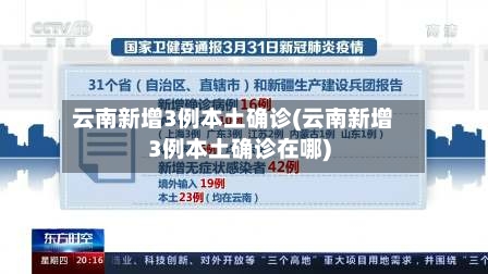 云南新增3例本土确诊(云南新增3例本土确诊在哪)-第2张图片