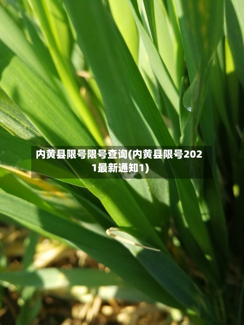 内黄县限号限号查询(内黄县限号2021最新通知1)