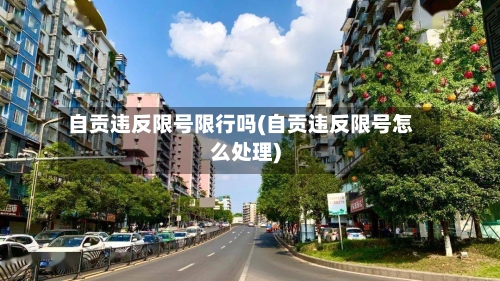 自贡违反限号限行吗(自贡违反限号怎么处理)