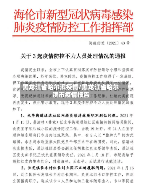 黑龙江省哈尔滨疫情/黑龙江省哈尔滨市疫情报告-第2张图片