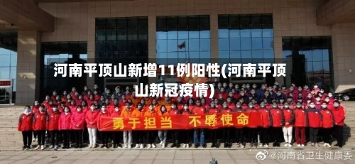 河南平顶山新增11例阳性(河南平顶山新冠疫情)