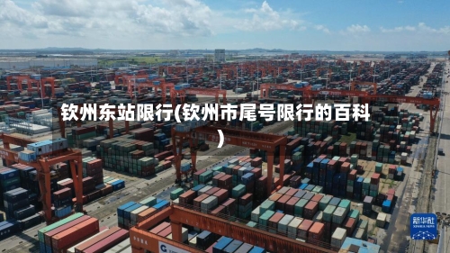 钦州东站限行(钦州市尾号限行的百科)