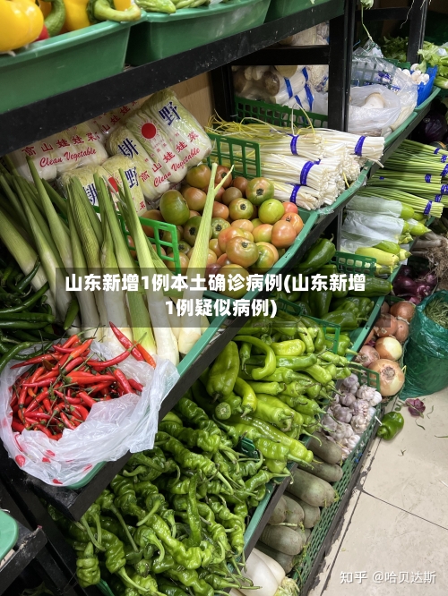 山东新增1例本土确诊病例(山东新增1例疑似病例)