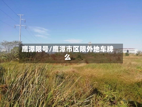 鹰潭限号/鹰潭市区限外地车牌么-第2张图片