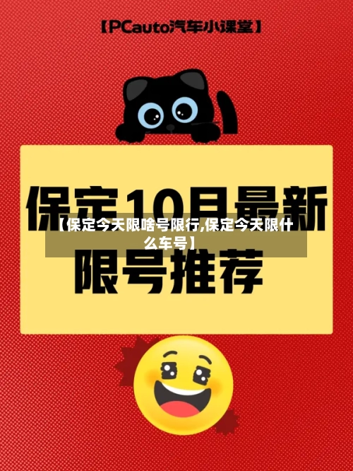 【保定今天限啥号限行,保定今天限什么车号】-第2张图片