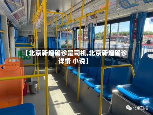 【北京新增确诊是司机,北京新增确诊详情 小说】-第3张图片